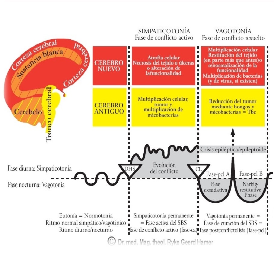 Nueva Medicina Germanica